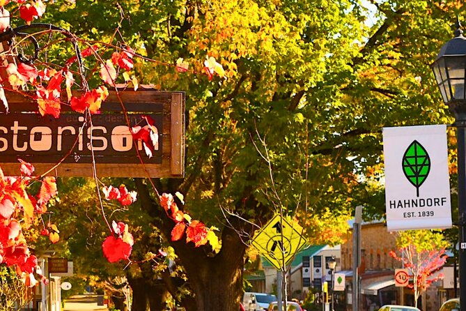 Shore Excursion: Hahndorf Hidden Gems - Conclusions