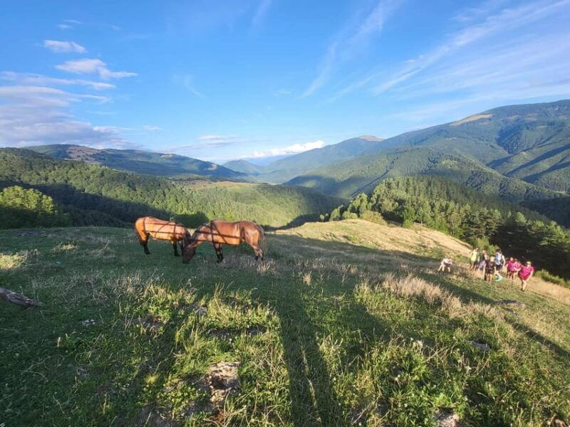 sibiu-cindrel-mountains-hike-with-traditional-brunch