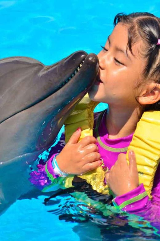 side-alanya-swimming-with-dolphins