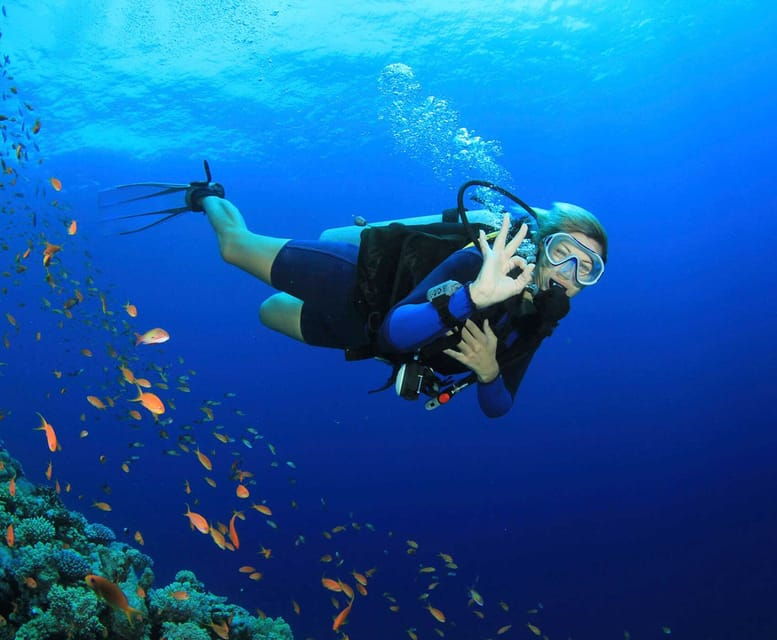 side-scuba-diving-tour-journey-to-the-depths-of-the-blue