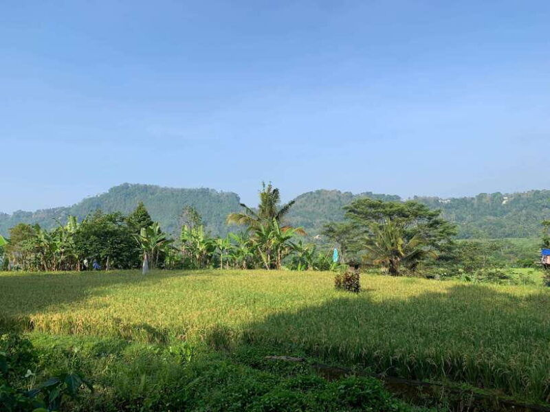 sidemen-balinese-traditional-activities