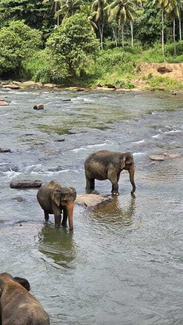 sigiryas-wildlife-experience