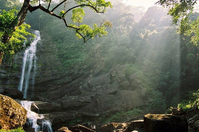Sinharaja Rain Forest Tour from Colombo - Final Thoughts