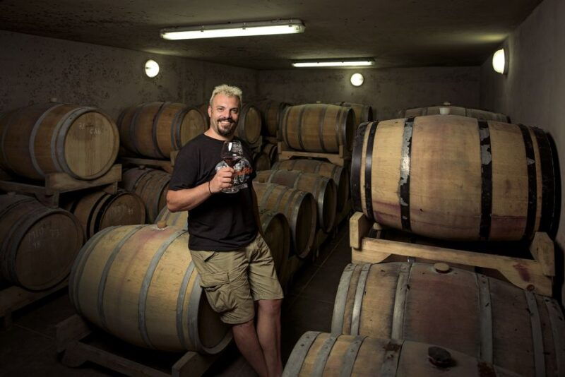 sisan-organic-winery-tour-and-tasting-experience