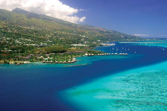 Small group snorkeling (5 people max): wrecks & tropical fishes at 3:30pm - The Sum Up