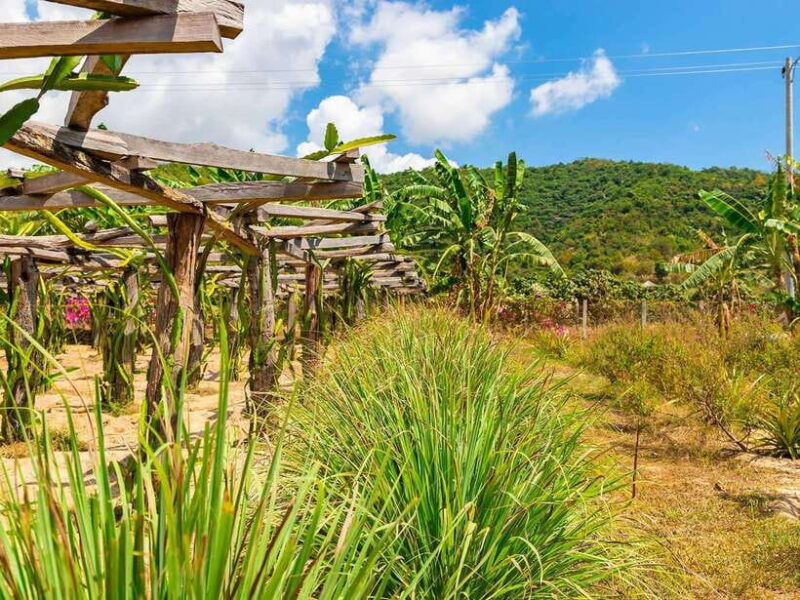 small-group-tour-one-day-phnom-penh-to-kampot-kep