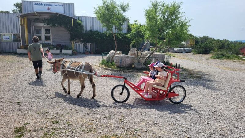 smrika-near-rijeka-krk-crikvenica-donkey-farm-entry-ticket