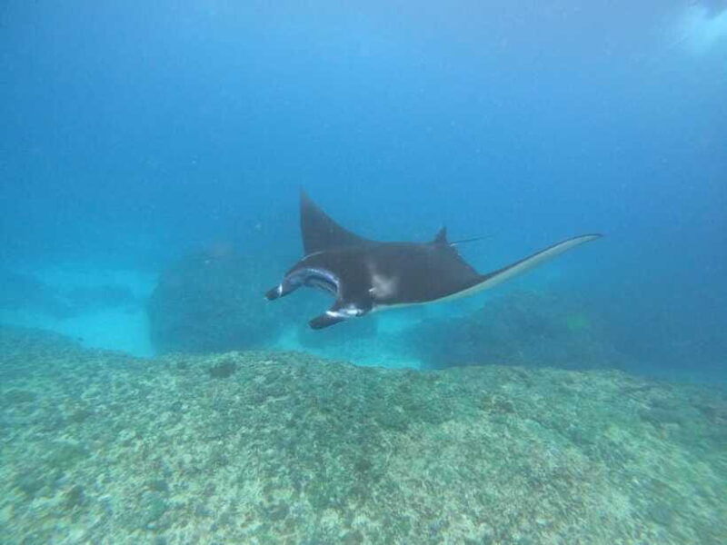 snorkeling-adventure-with-lucky-snorkeling