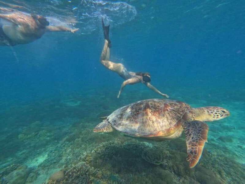 snorkeling-around-3-island-turtle-sanctuary