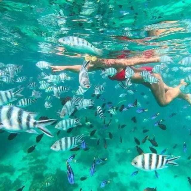 snorkeling-express-puerto-morelos