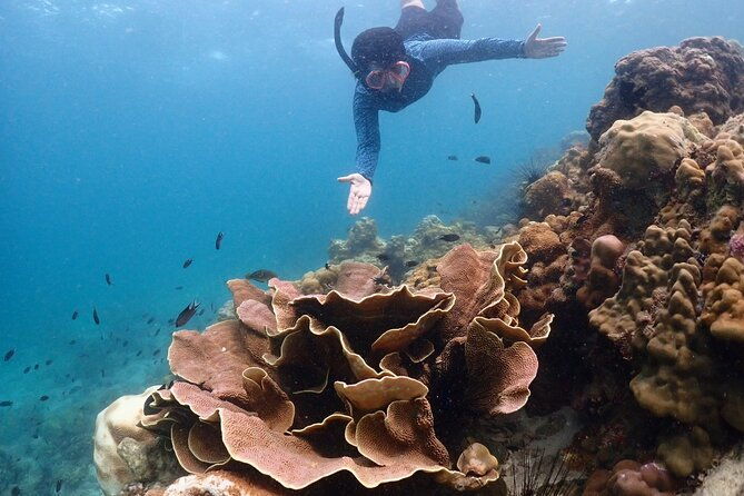Snorkeling Full Day Experience from Bangkok - Authenticity and Review Highlights