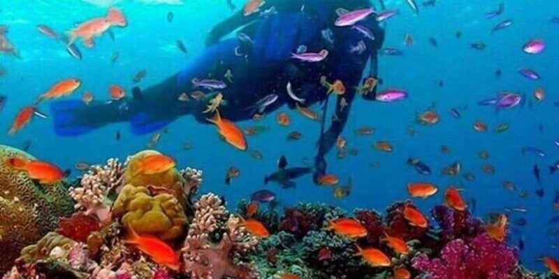 snorkeling-in-negombo