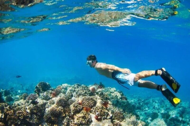 snorkeling-in-port-city