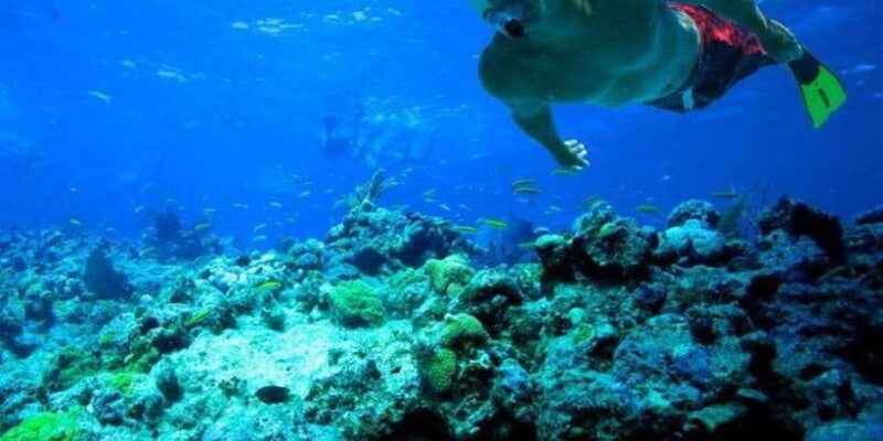 snorkeling-in-trincomalee