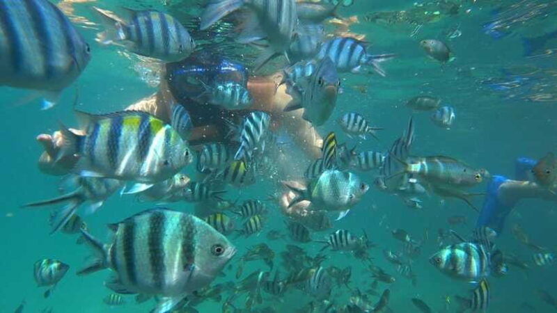 snorkeling-kayaking-fishing-swimming-activities