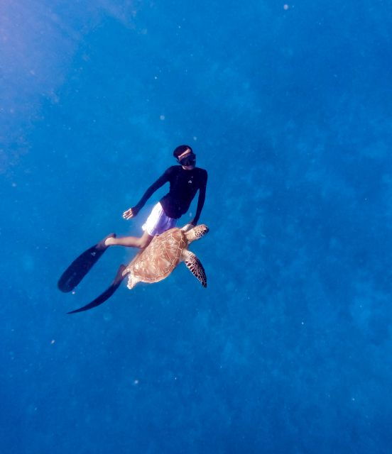 snorkeling-with-turtle-and-underwater-statue-in-gilis