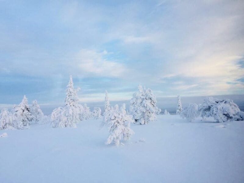 snowshoe-experience-with-traditional-beverages-in-lapland