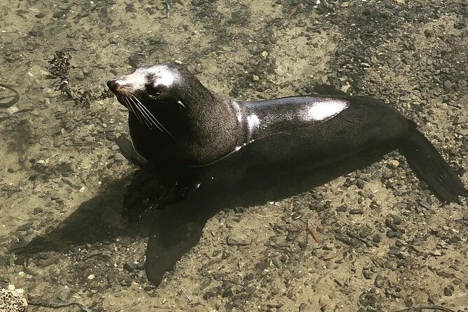 South Coast Nature Tour - FAQ
