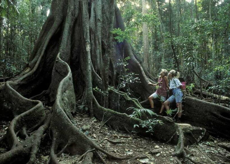 sri-lanka-2-day-national-parks-trip-hotel-transport-guide
