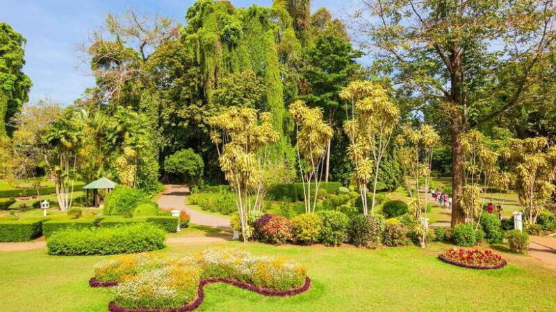 sri-lanka-6-day-luxury-honeymoon-tour