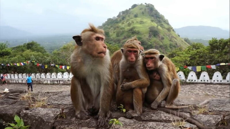 sri-lanka-7-day-off-the-beaten-path-private-tour