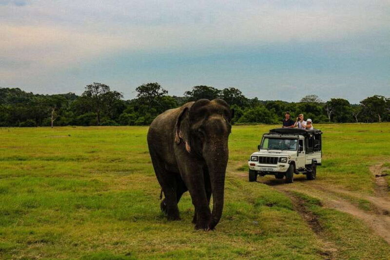sri-lanka-ancient-temple-wildlife-hill-country-train