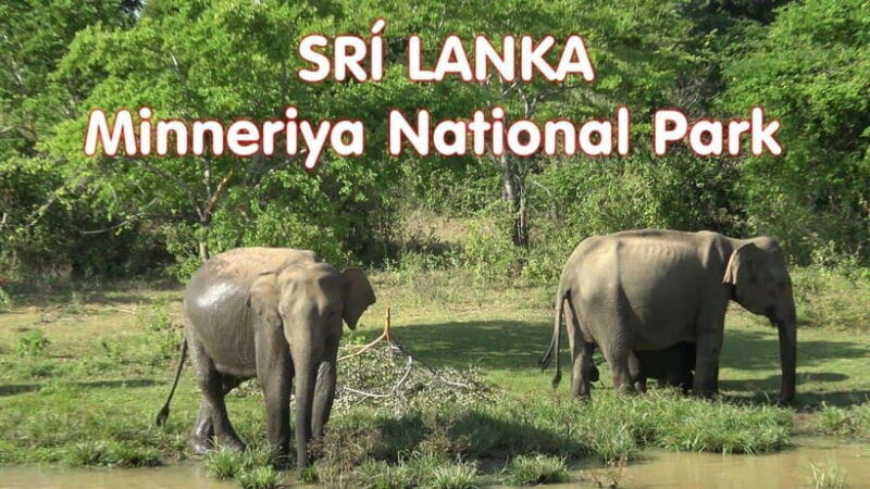 sri-lanka-culture-triangle-4-day-journey-with-3-nights-stay