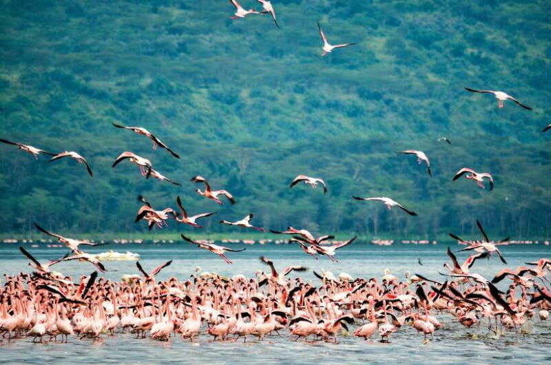 sri-lanka-nature-culture-history-and-wildlife-in-4-days