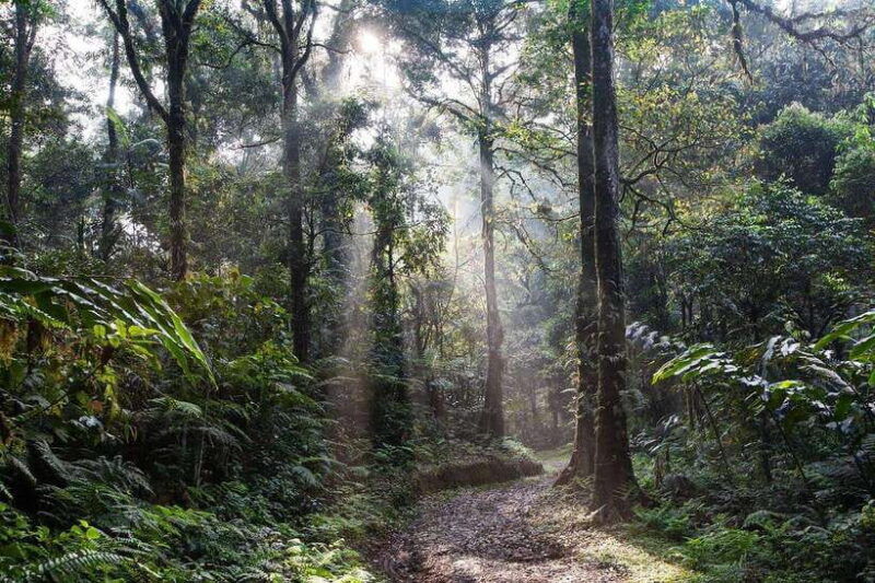 sri-lanka-trekking-hiking-5-days-tour