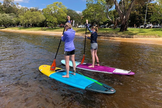 Stand Up Paddle Board Hire - Who Would Love This Experience?