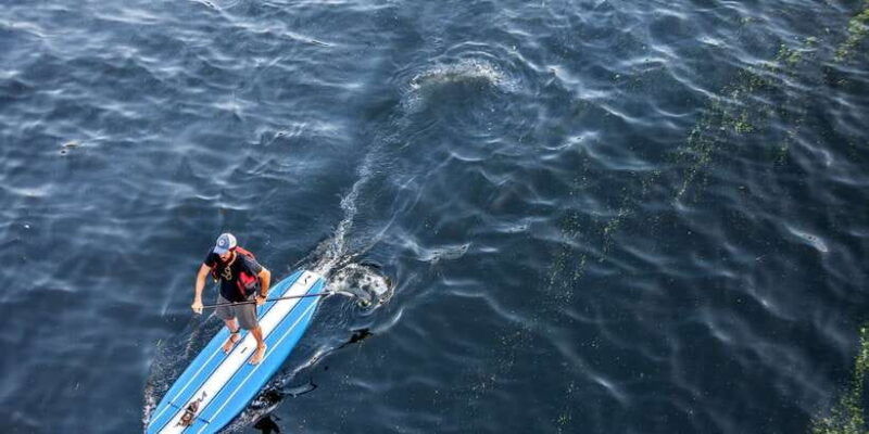 stand-up-paddle-boarding-in-trincomalee