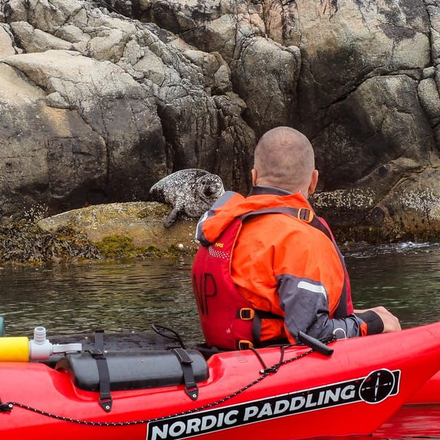 stavanger-lysefjord-kayak-safari-waterfalls-pulpit-rock
