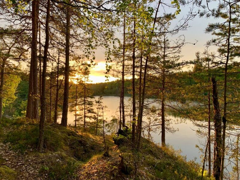 stockholm-sunset-hike-in-tyresta-national-park-with-meal
