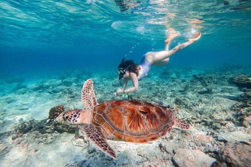 surabaya-to-bali-all-inclusive-9-day-tour-with-local-guide