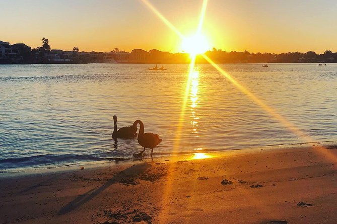 Surfers Paradise Sunset Kayak Tour - The Real Experience: Insights from Reviewers