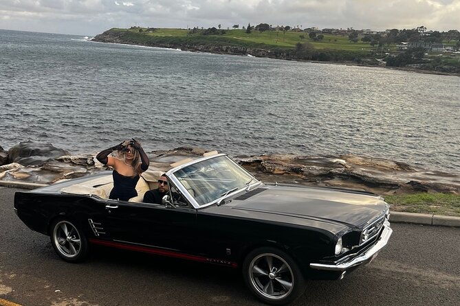 Sydney Bridges and Beaches tour Vintage Car Ride Experience - Who Will Love This Experience?