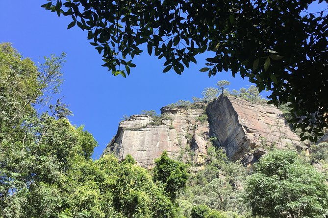 Sydney to Blue Mountains Day Tour - Luxury Vehicle 5 to 7 Guests - Real Traveler Insights