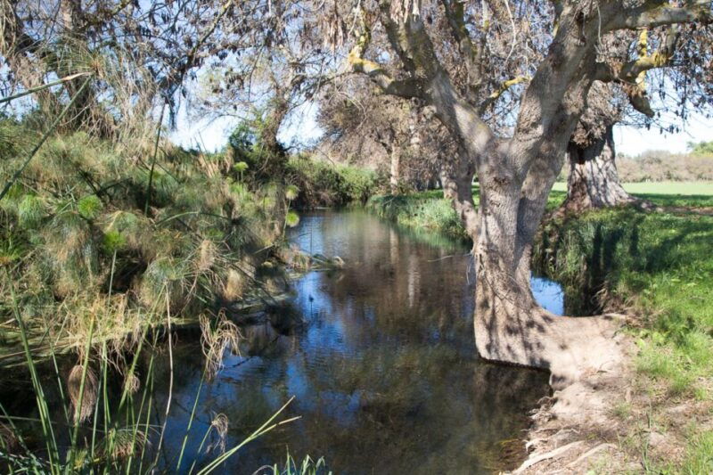 syracuse-ciane-river-nature-reserve-guided-trek