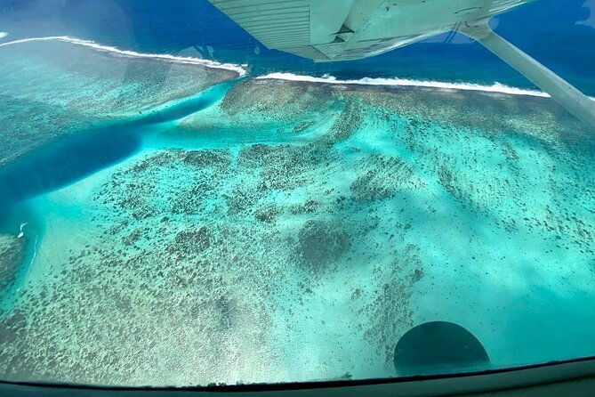 Tahiti:Full Day tour with private jet (Piper) - Final Thoughts: Who Should Consider This Tour?
