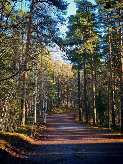 tampere-panoramic-tour