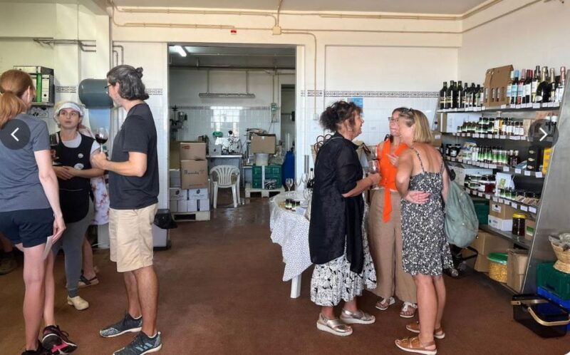tavira-olive-experience-with-factory-tour-and-tasting