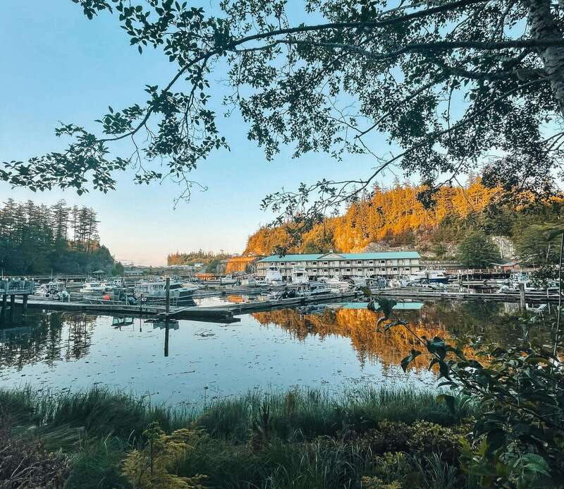 telegraph-cove-2-hour-evening-kayak-tour
