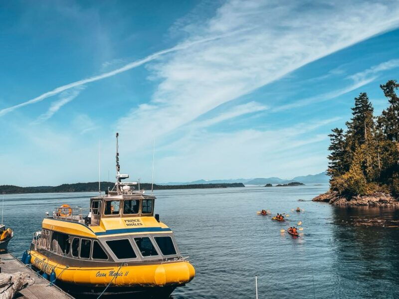 telegraph-cove-whale-watching-adventure-with-free-photos