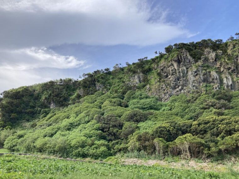 terceira-island-scenic-hiking-trails-tour-shared-tour