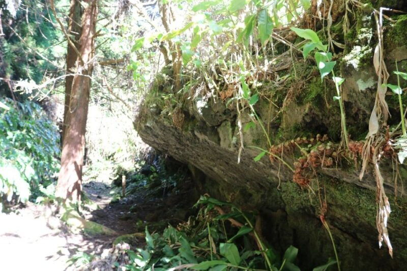 terceira-island-walking-trails-hiking-tour