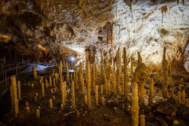 the-bears-cave-1-day-airconditioned-car-tour-from-oradea