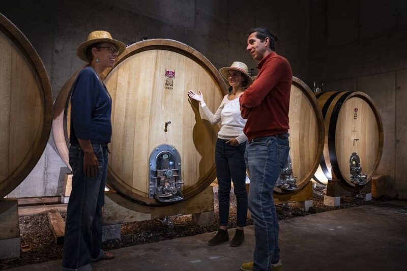 the-chateaux-of-gres-de-montpellier-wine-tasting