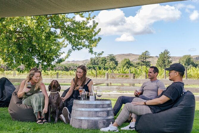 The Grape Vine - Analyzing the Value