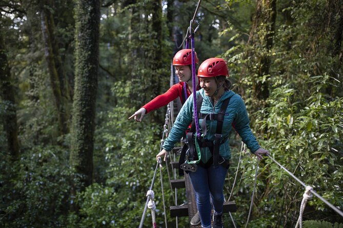 The Original Canopy Zipline Experience Private Tour From Auckland - FAQs