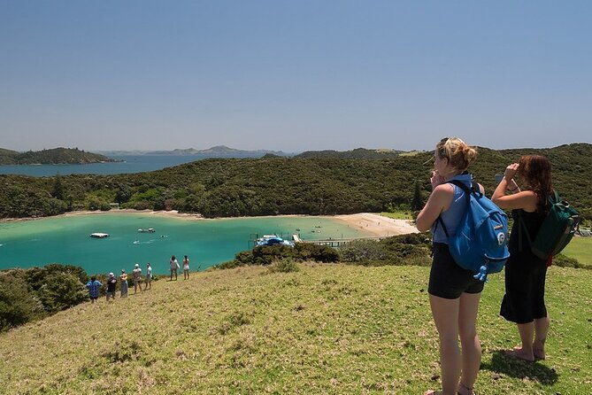 The Original Full day Bay of Islands Cruise with Dolphins - Final Thoughts